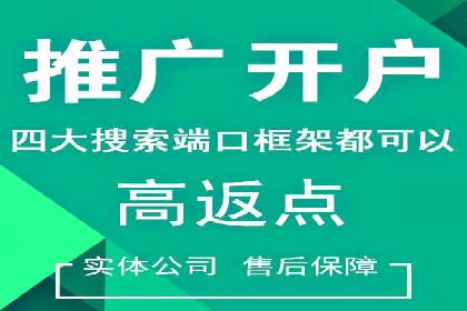 百度推广平台案例集锦：成功案例背后的故事